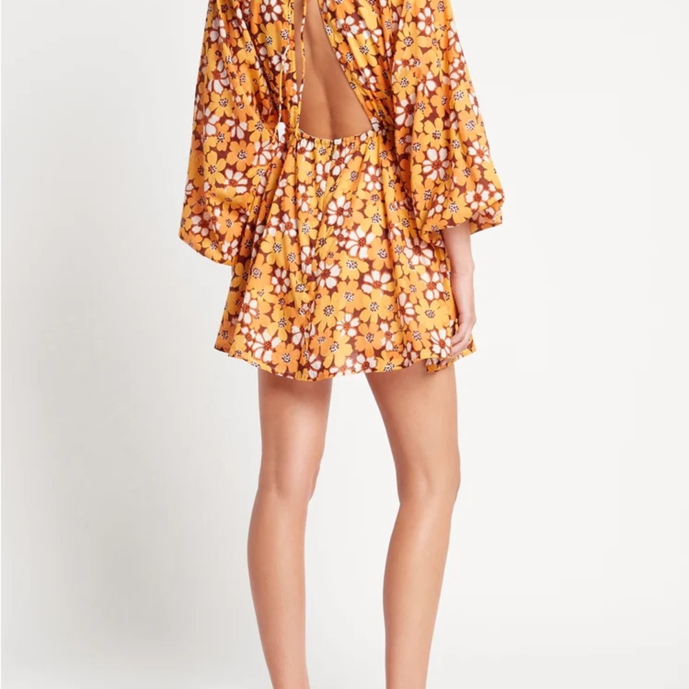 Faithful the Brand Mini Dress